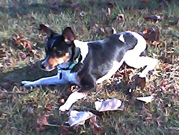 jolson-03december2006.JPG